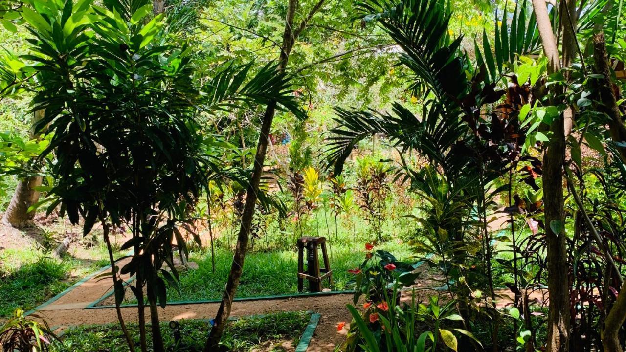 Sigiri Starwing Villa Sigiriya Esterno foto