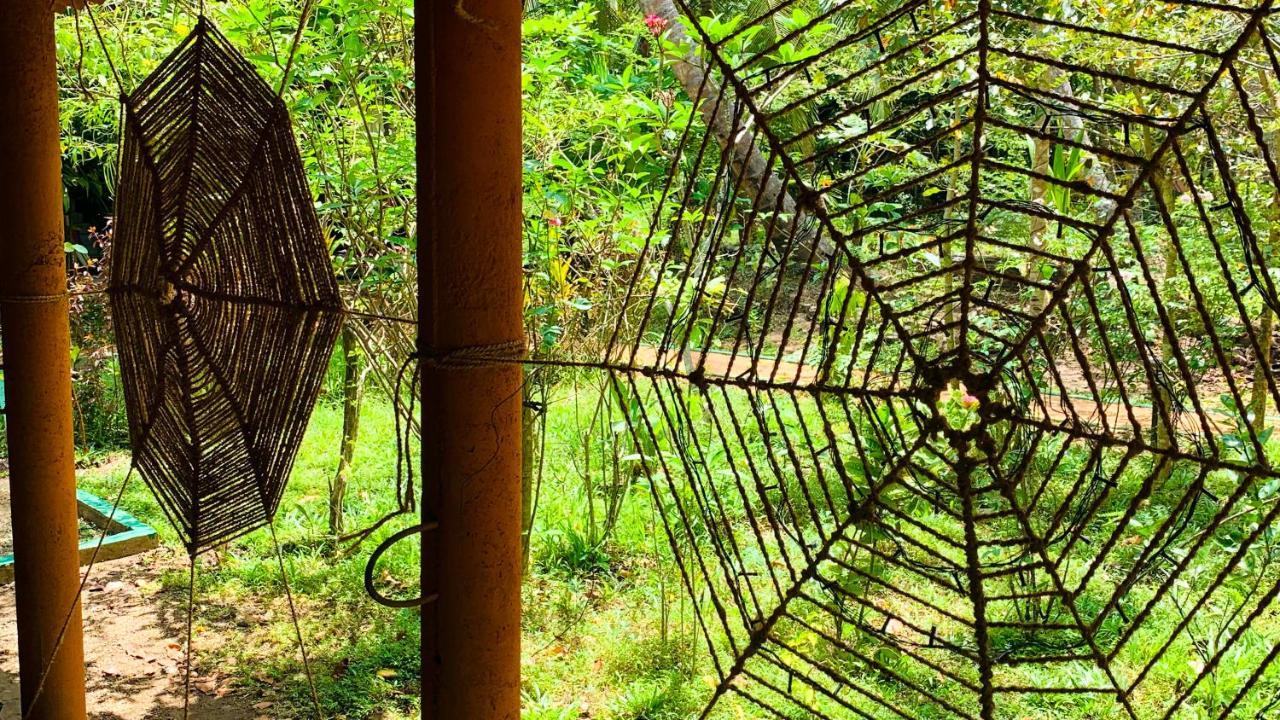Sigiri Starwing Villa Sigiriya Esterno foto