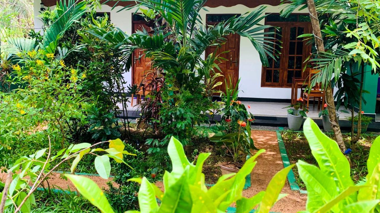 Sigiri Starwing Villa Sigiriya Esterno foto