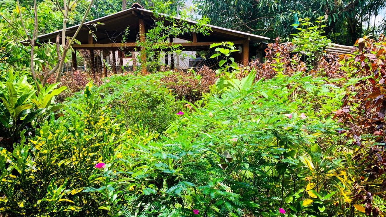 Sigiri Starwing Villa Sigiriya Esterno foto