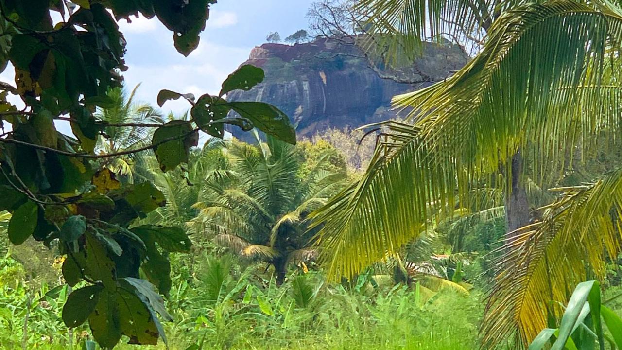 Sigiri Starwing Villa Sigiriya Esterno foto